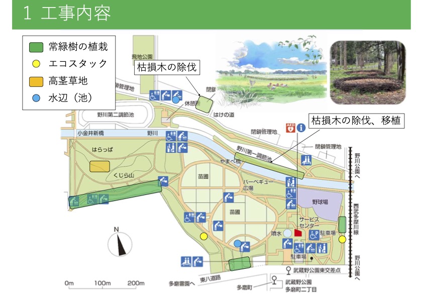 まろん通信Vol.4140 武蔵野公園BMX跡地で進んでいる「都立公園の生物