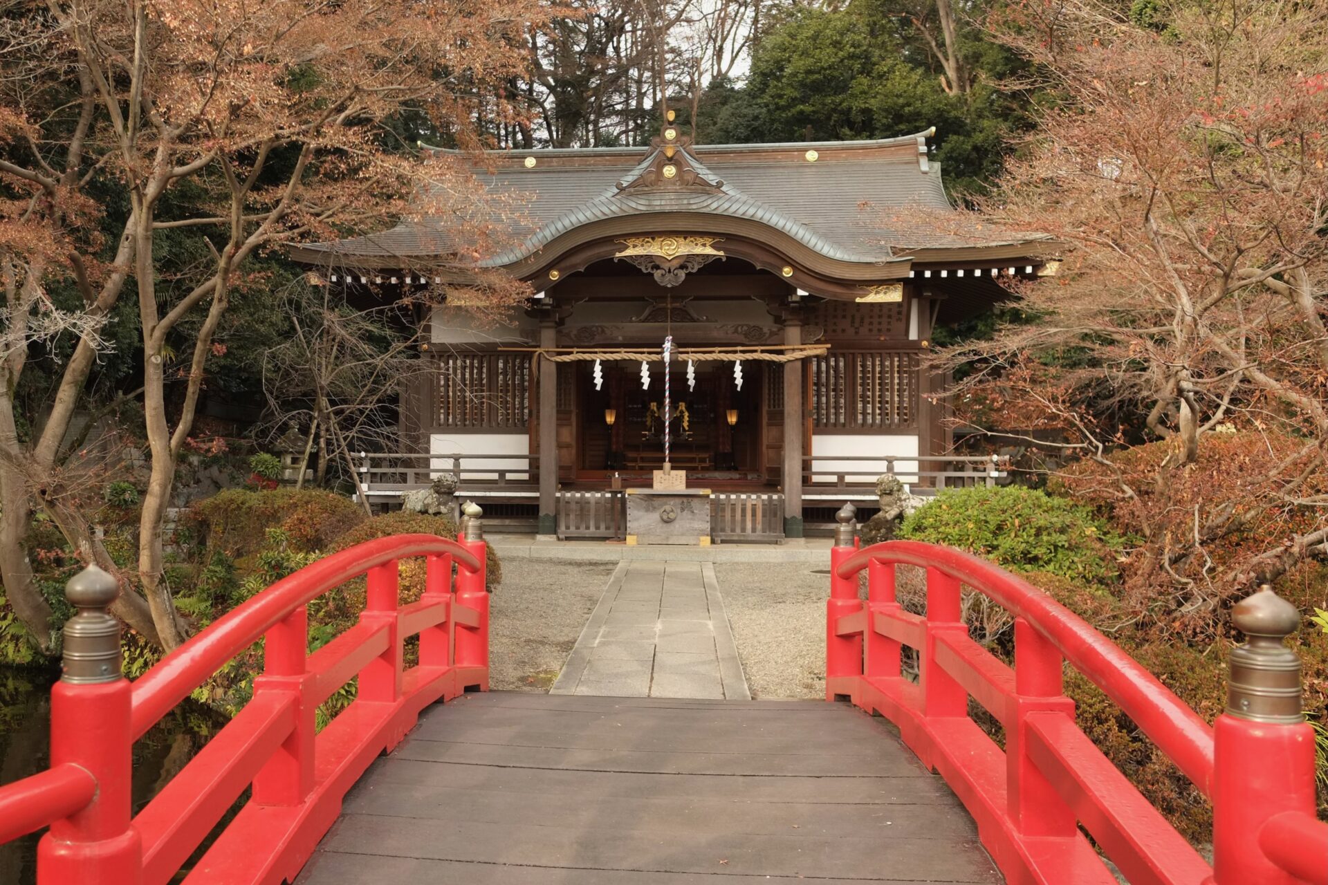 まろん通信Vol.4200 いつもの静寂さが漂う年の瀬の貫井神社 | まろん通信